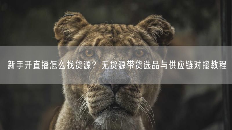 新手开直播怎么找货源？无货源带货选品与供应链对接教程