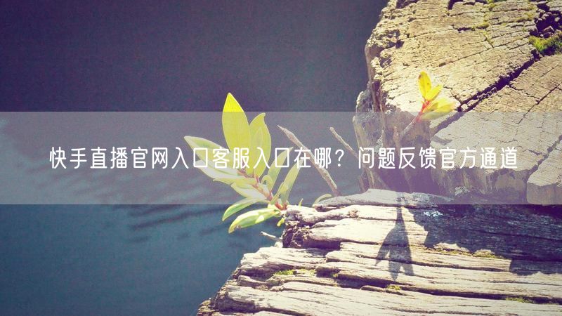 快手直播官网入口客服入口在哪？问题反馈官方通道