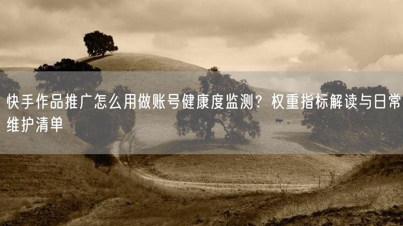 快手作品推广怎么用做账号健康度监测？权重指标解读与日常维护清