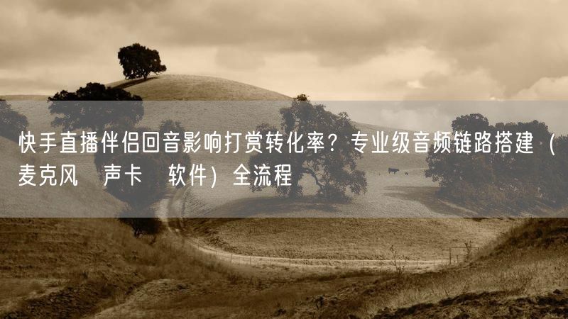 快手直播伴侣回音影响打赏转化率？专业级音频链路搭建（麦克风→声卡→软件）全流程