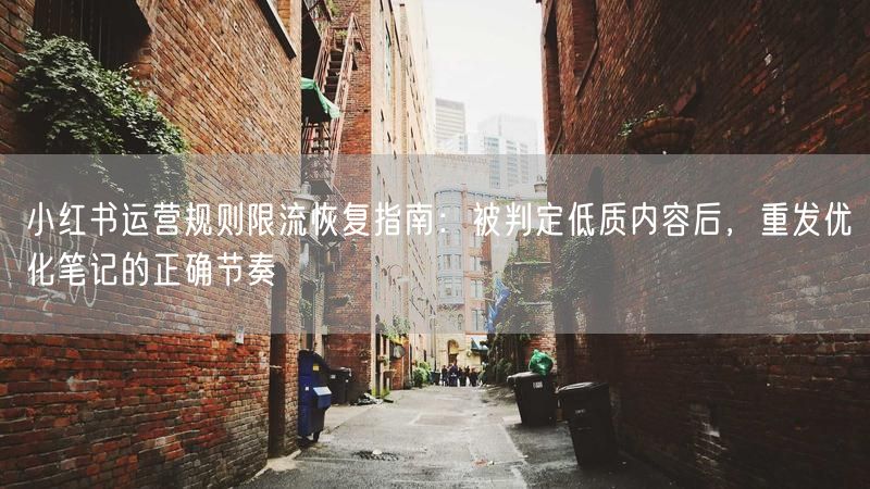小红书运营规则限流恢复指南：被判定低质内容后，重发优化笔记的正确节奏