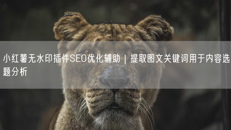 小红薯无水印插件SEO优化辅助｜提取图文关键词用于内容选题分
