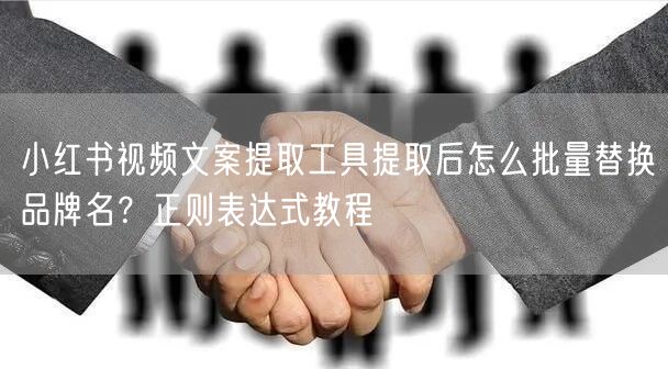 小红书视频文案提取工具提取后怎么批量替换品牌名？正则表达式教程