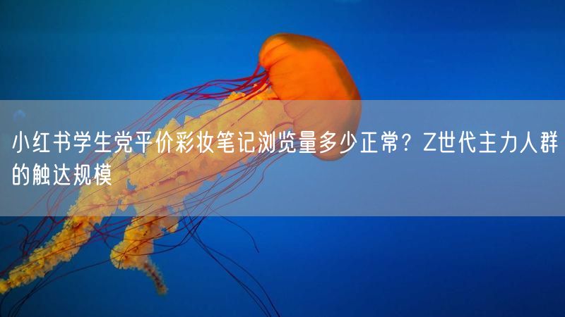 小红书学生党平价彩妆笔记浏览量多少正常？Z世代主力人群的触达规模