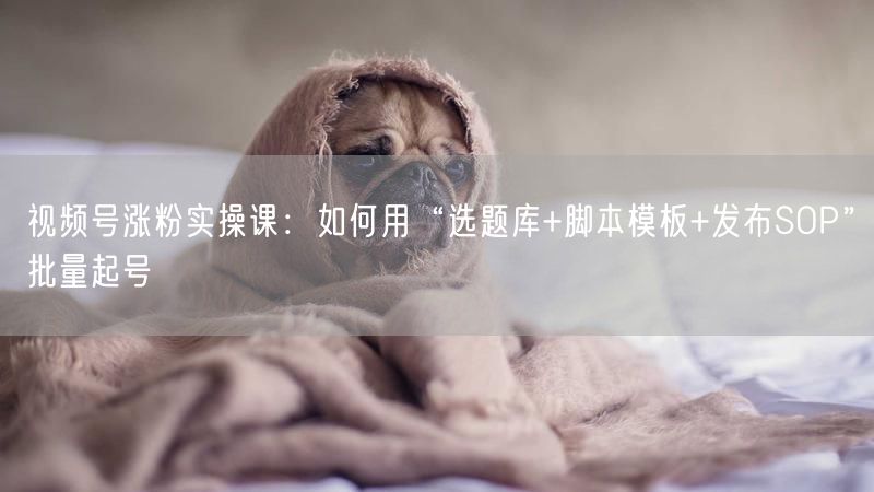 视频号涨粉实操课：如何用“选题库+脚本模板+发布SOP”批量起号