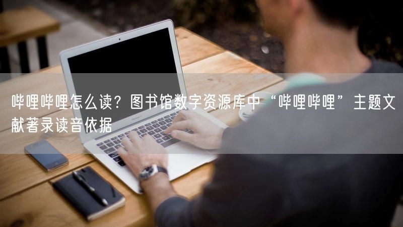 哔哩哔哩怎么读？图书馆数字资源库中“哔哩哔哩”主题文献著录读