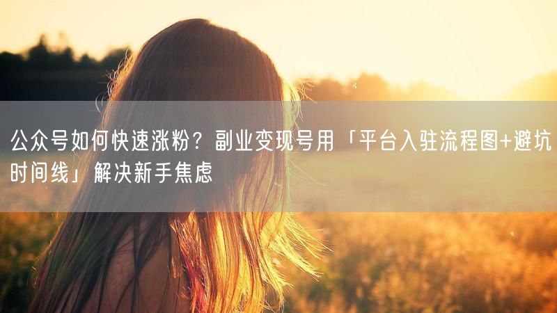 公众号如何快速涨粉？副业变现号用「平台入驻流程图+避坑时间线」解决新手焦虑