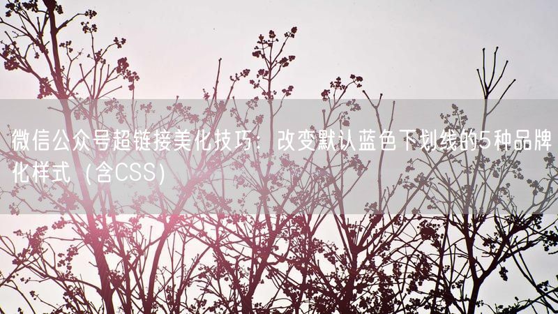 微信公众号超链接美化技巧：改变默认蓝色下划线的5种品牌化样式（含CSS）