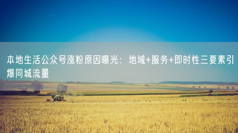 本地生活公众号涨粉原因曝光：地域+服务+即时性三要素引爆同城