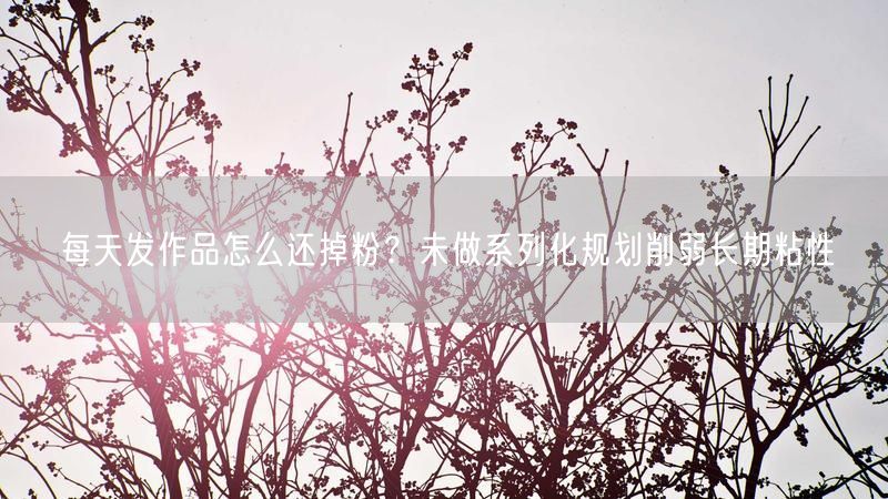 每天发作品怎么还掉粉?未做系列化规划削弱长期粘性