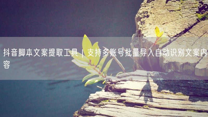 抖音脚本文案提取工具|支持多账号批量导入自动识别文案内容