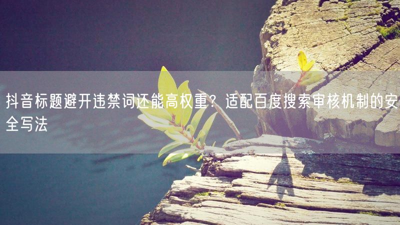 抖音标题避开违禁词还能高权重?适配百度搜索审核机制的安全写法